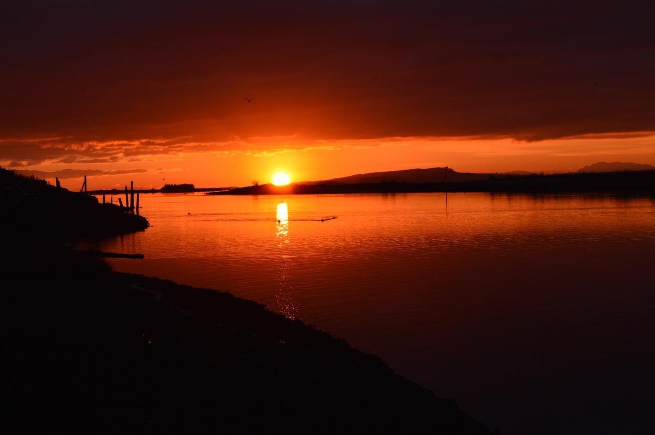 Estuary House Reflexology B&B Кортни Екстериор снимка